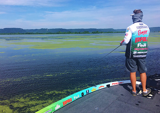 Beatin' the Bank with Bernie Schultz - 2018 Upper Mississippi River BASS Elite