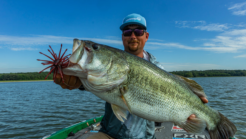 The NEW Baits.com Urchin Baits 