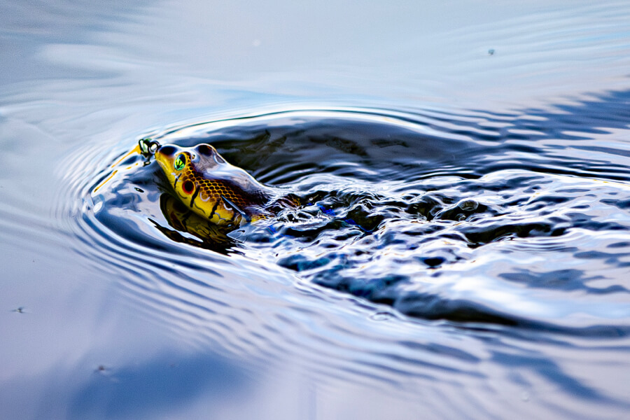 Premium Fishing Lures, Rods & Reels | Baits.com