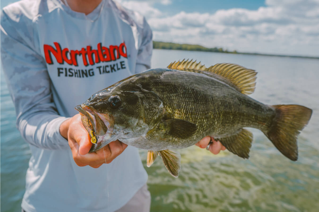 Northland Tackle | New Tungsten Bass Jigs