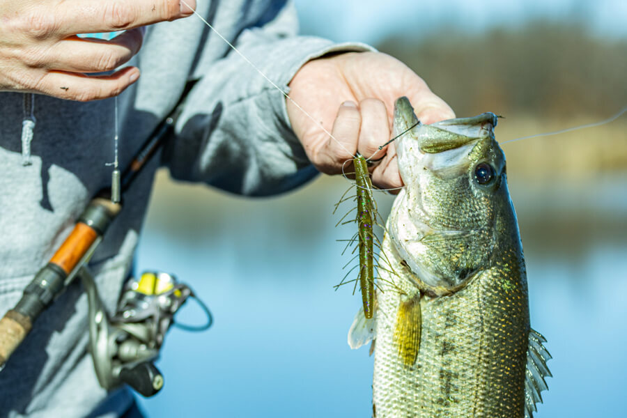 Yamamoto Baits | Fuzzy Series