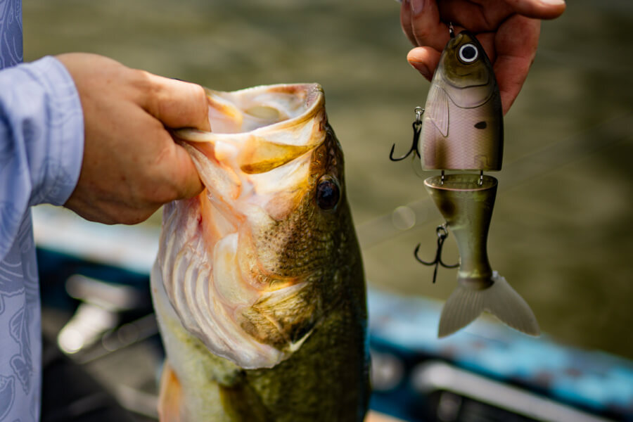 Premium Fishing Lures, Rods & Reels | Baits.com