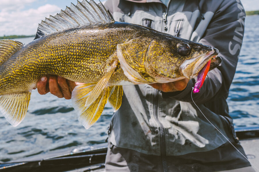 Northland Tackle | New Eye-Candy Colors
