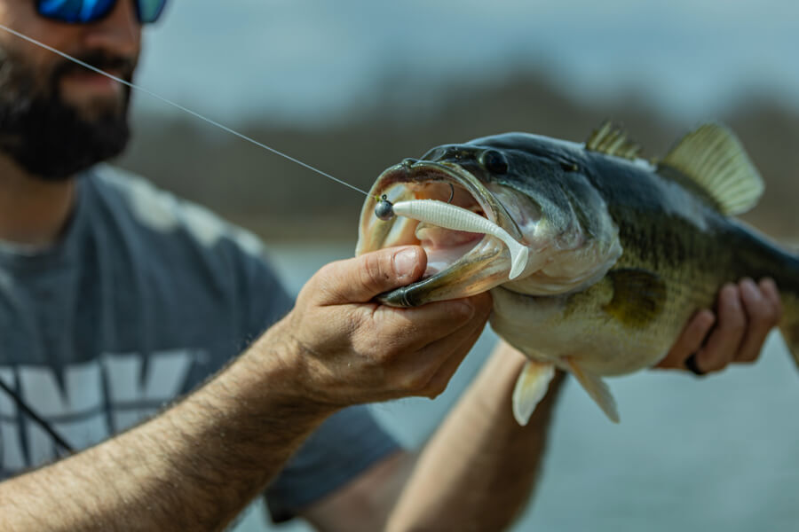 Yamamoto Baits | New Shibo Swimmer