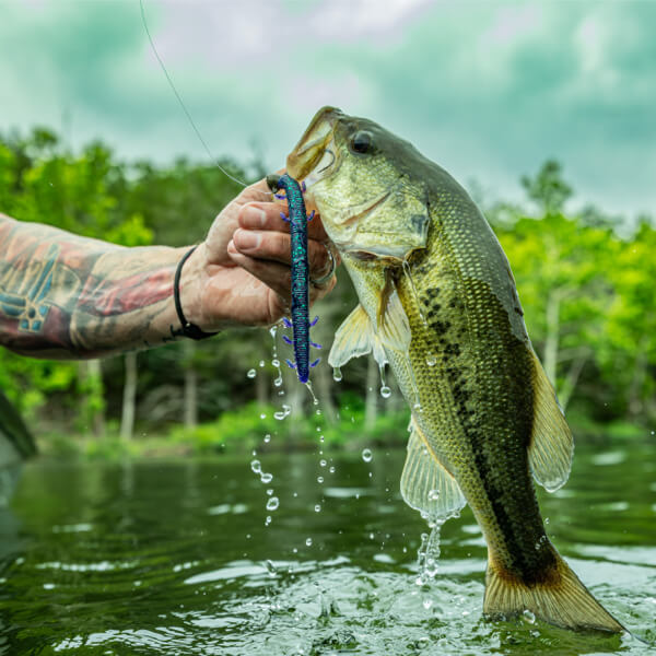 Baits.com | ICAST 2026