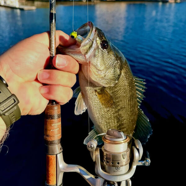 Premium Fishing Lures, Rods & Reels | Baits.com