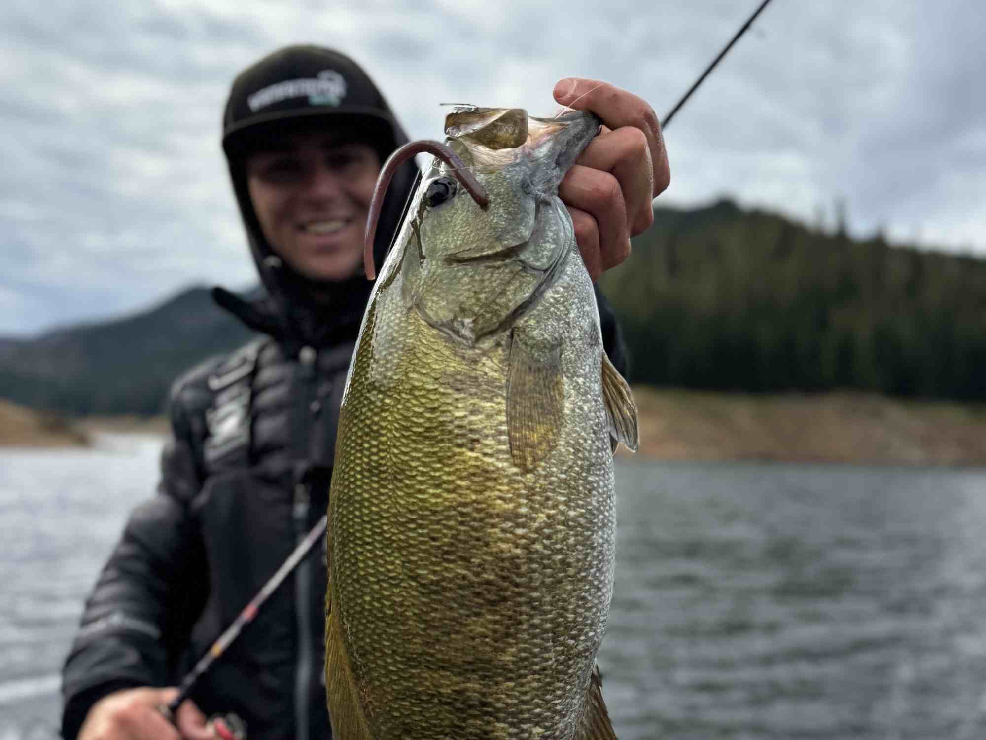 Rebarb hooks