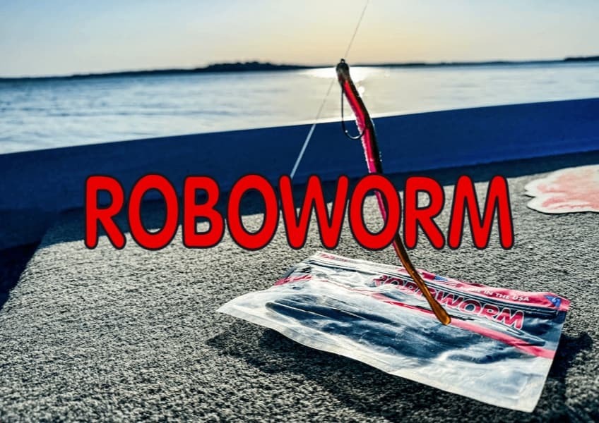 Roboworm Brand