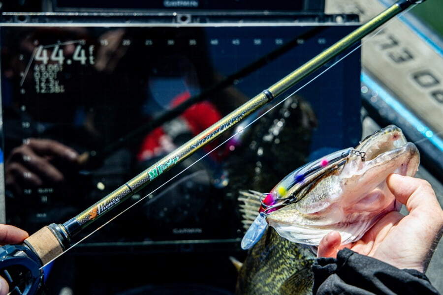 Premium Fishing Lures, Rods & Reels | Baits.com