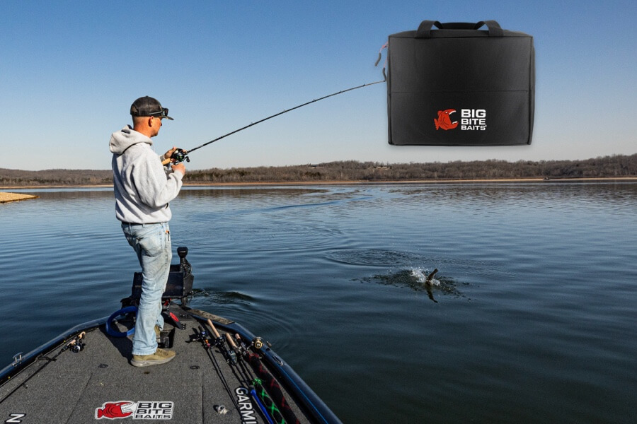 Premium Fishing Lures, Rods & Reels | Baits.com