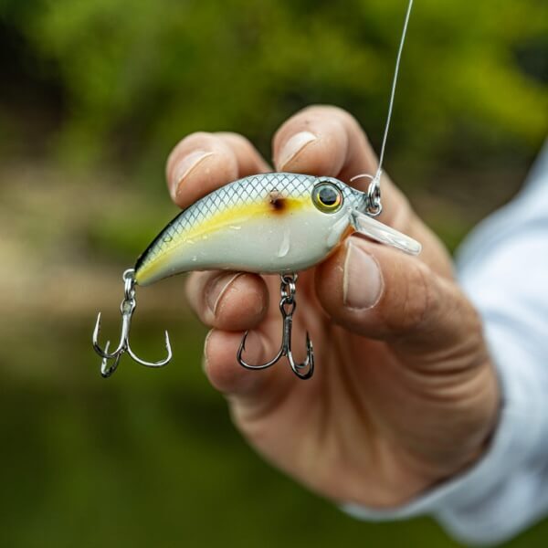 Bill Lewis | ATV Crankbait