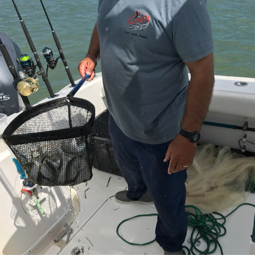 29" Baitwell Net - 5.5" depth, replaceable net