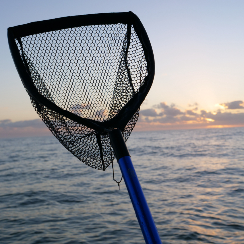 29" Baitwell Net - 5.5" depth, replaceable net