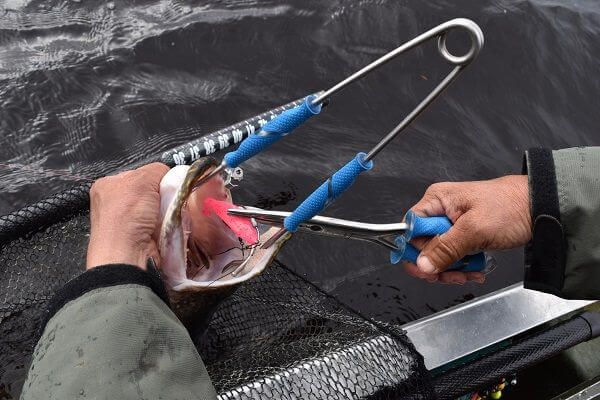 Jaw Spreader