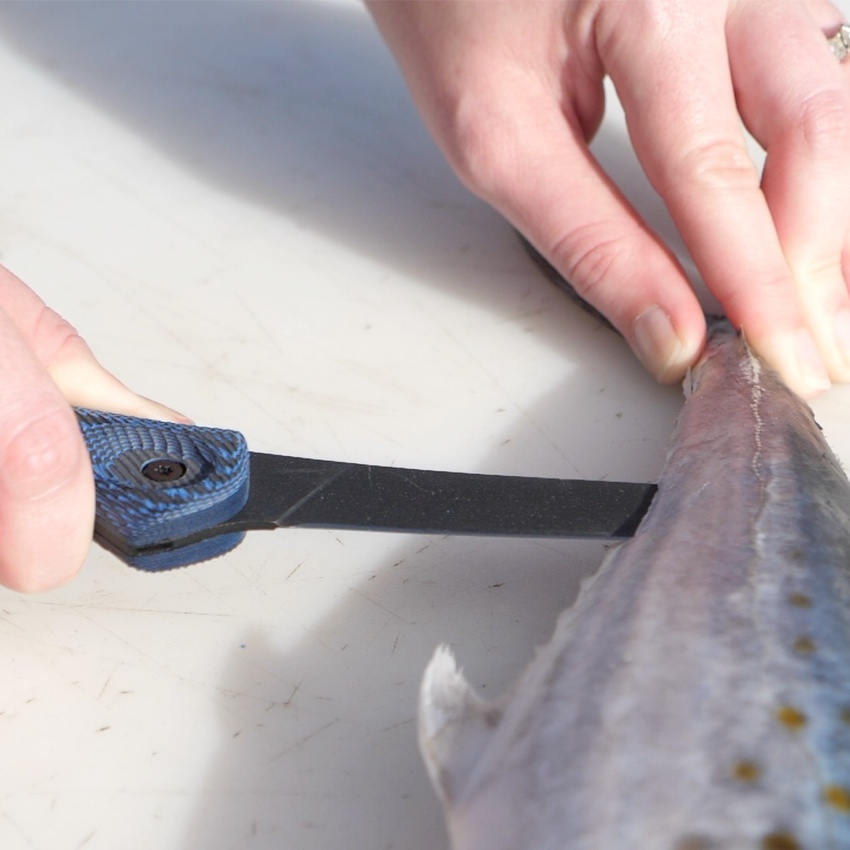 6" Curved Boning Knife