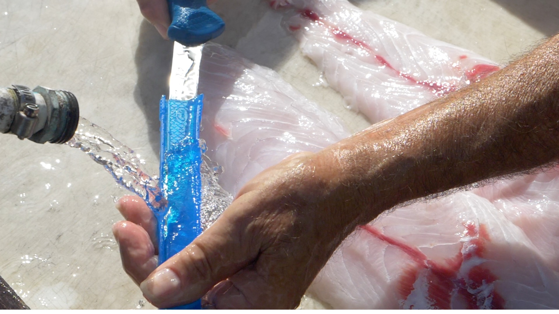 7" AquaTuff™ Fillet Knife with Blade Cover
