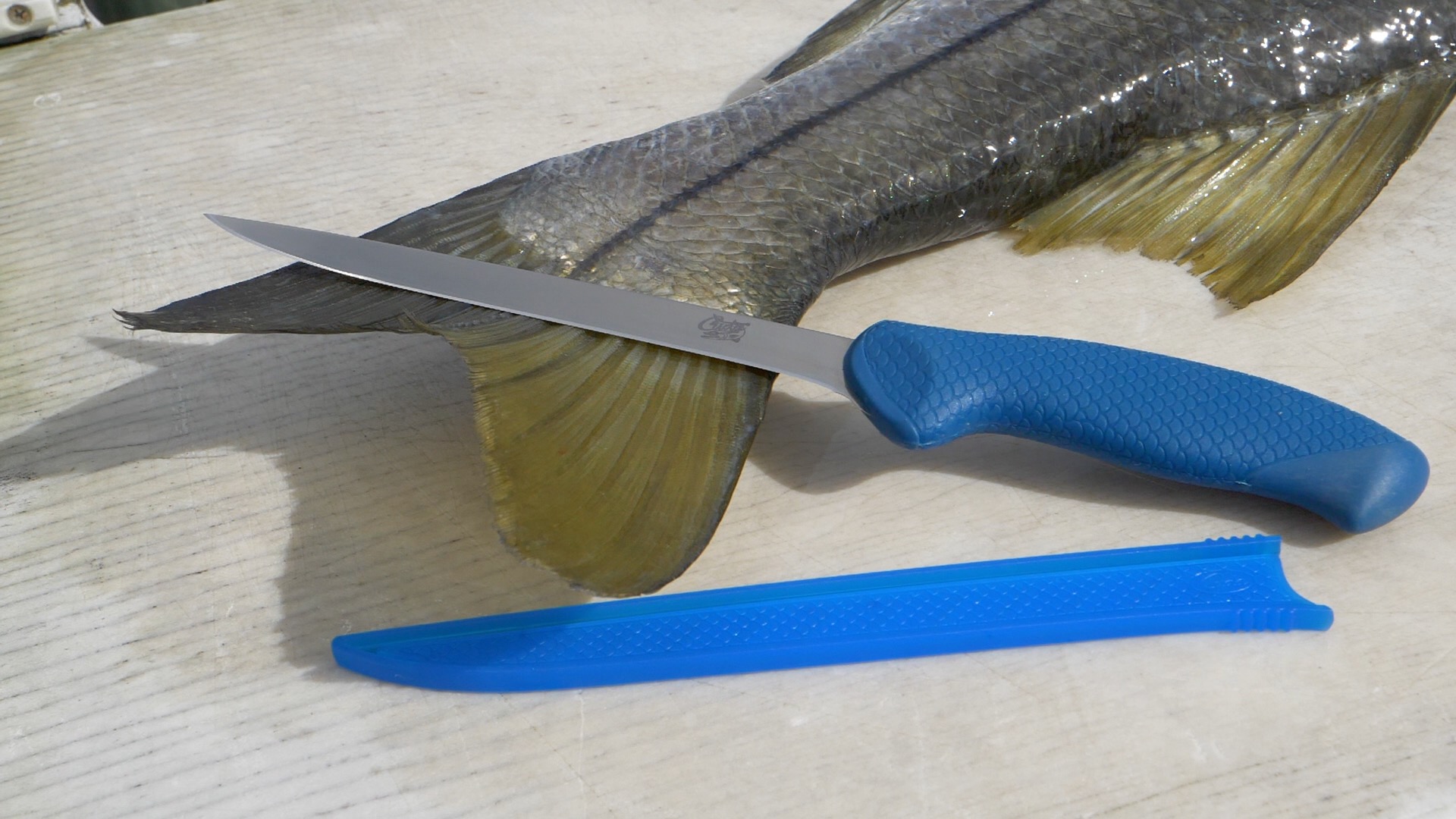 7" AquaTuff™ Fillet Knife with Blade Cover