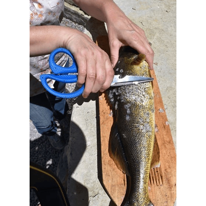 8" Titanium Bonded Detachable Marine Shear