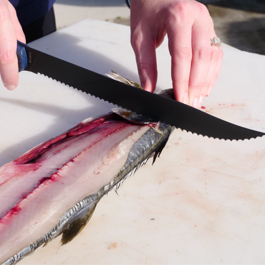9" Serrated Knife