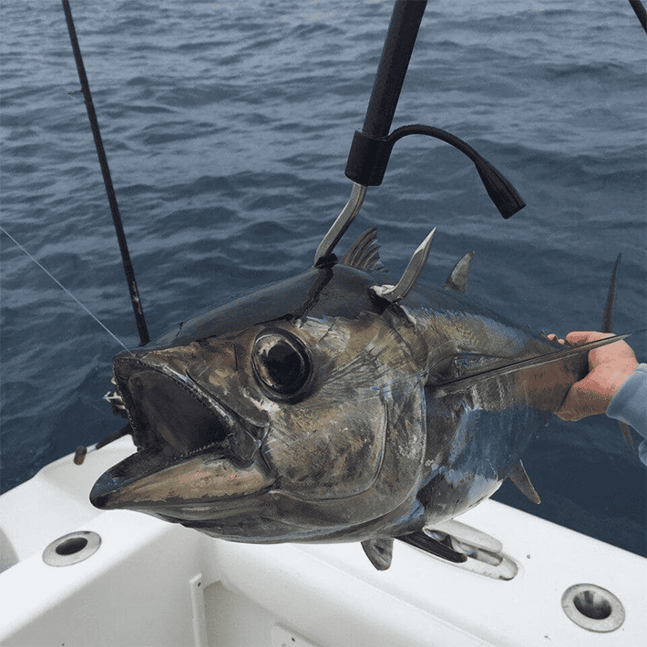 8ft Carbon Fiber Gaff with 4" Hook