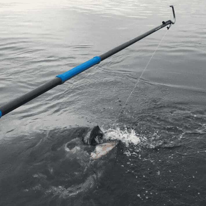 8ft Carbon Fiber Gaff with 4" Hook