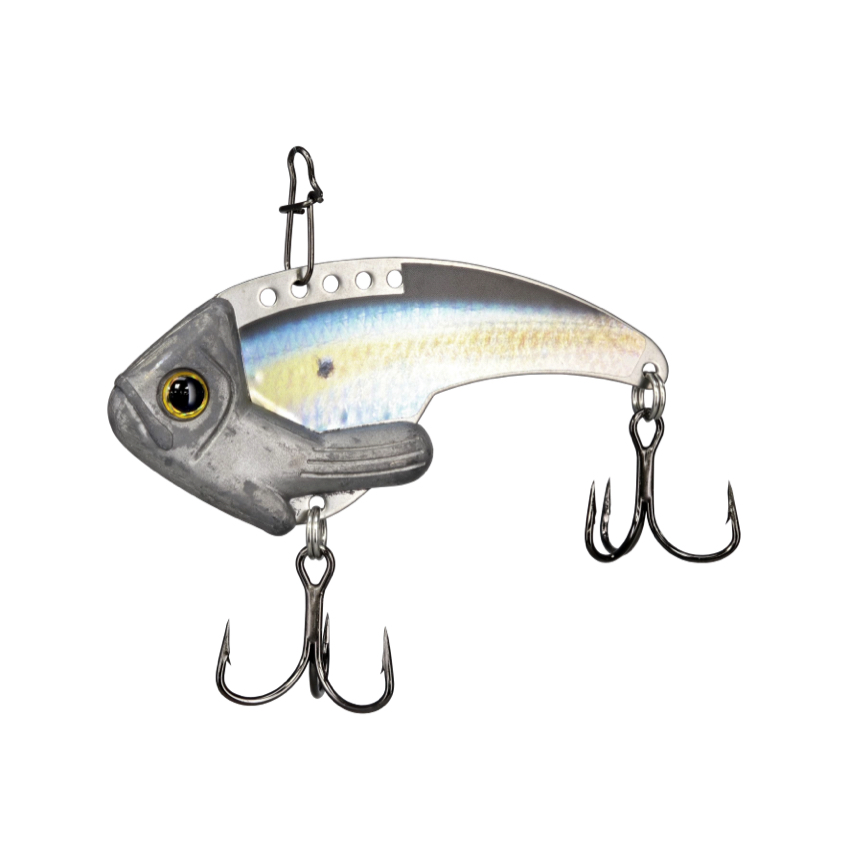Ledge Shad