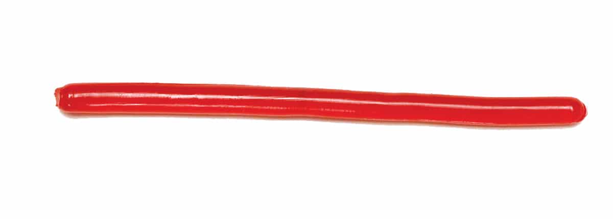 Trout Worm