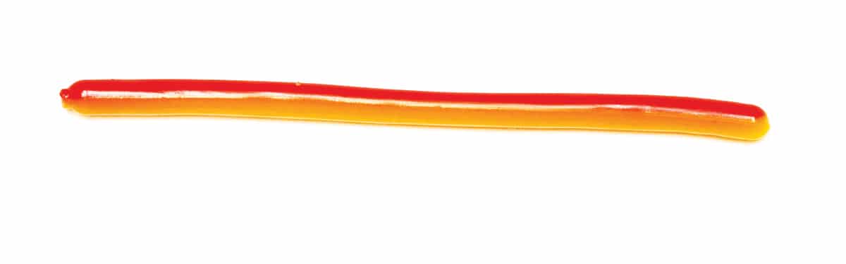 Trout Worm