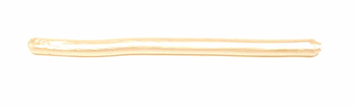 Trout Worm