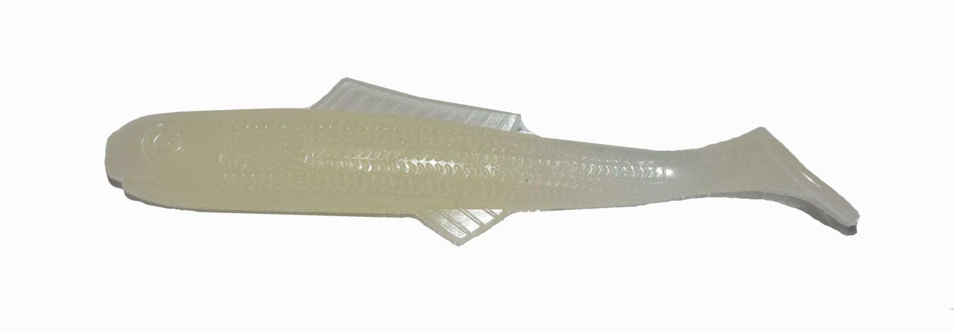Shad Tail Minnow