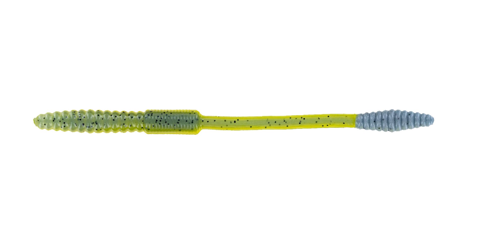Squirrel Tail Worm