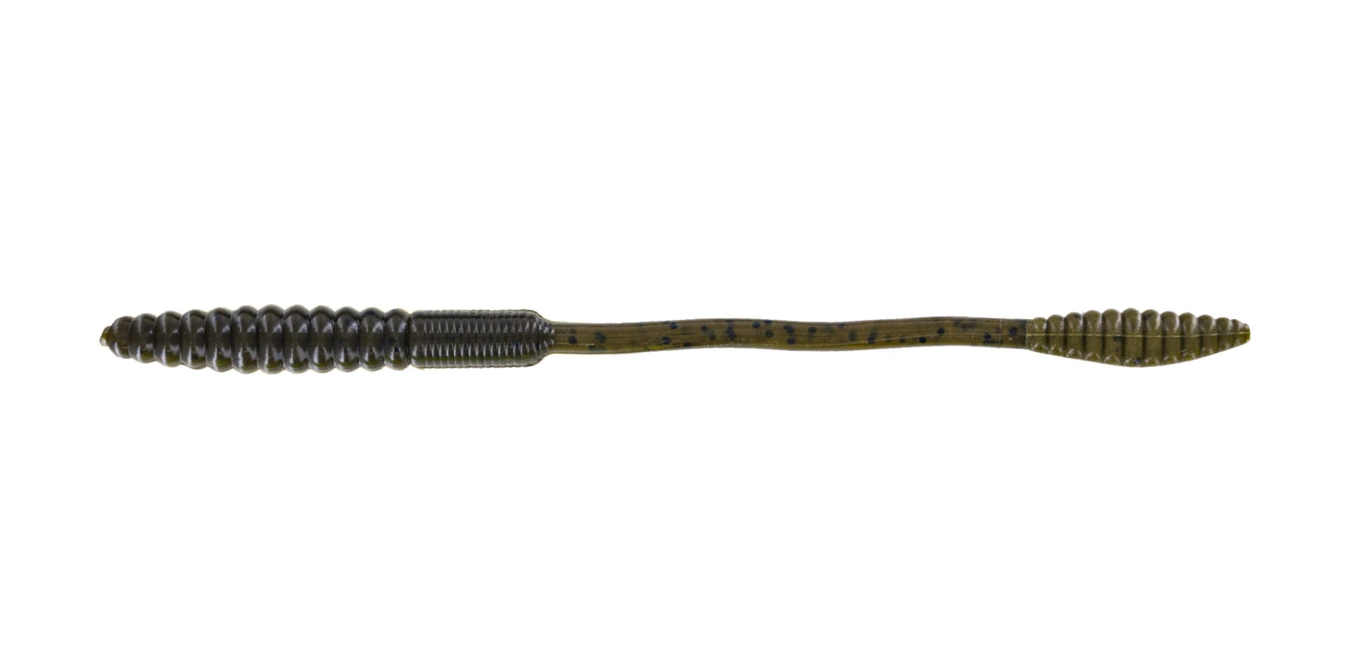 Squirrel Tail Worm