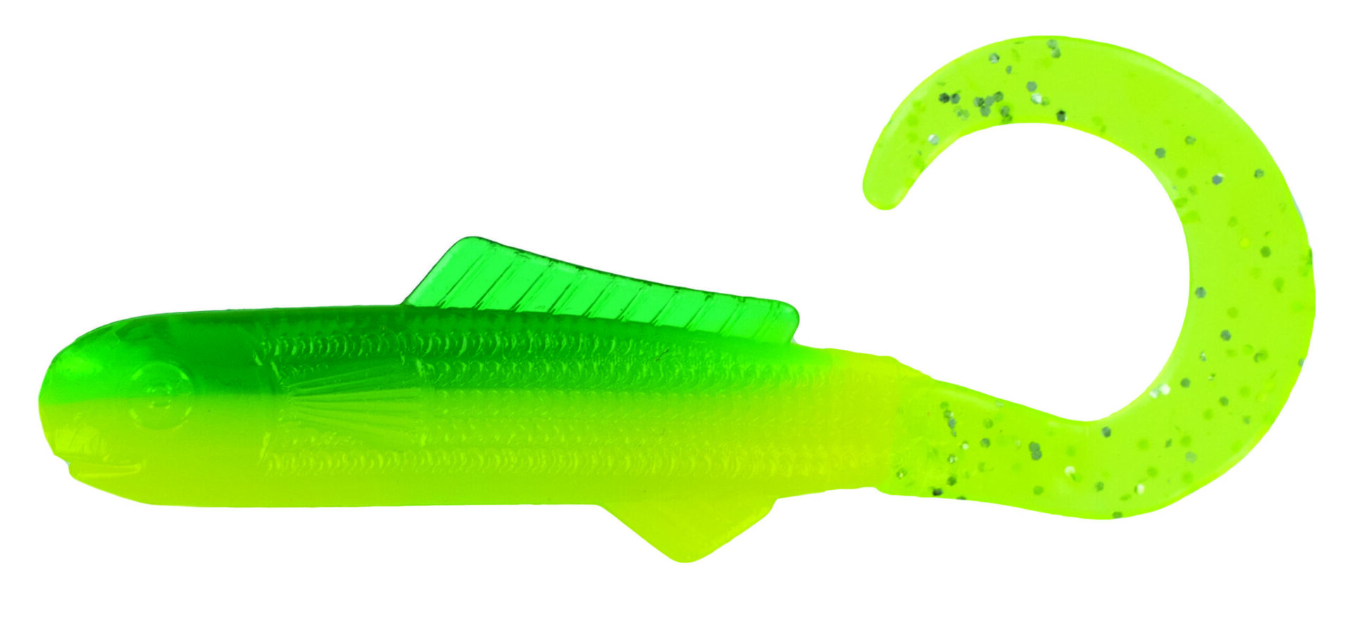 Curl Tail Minnow