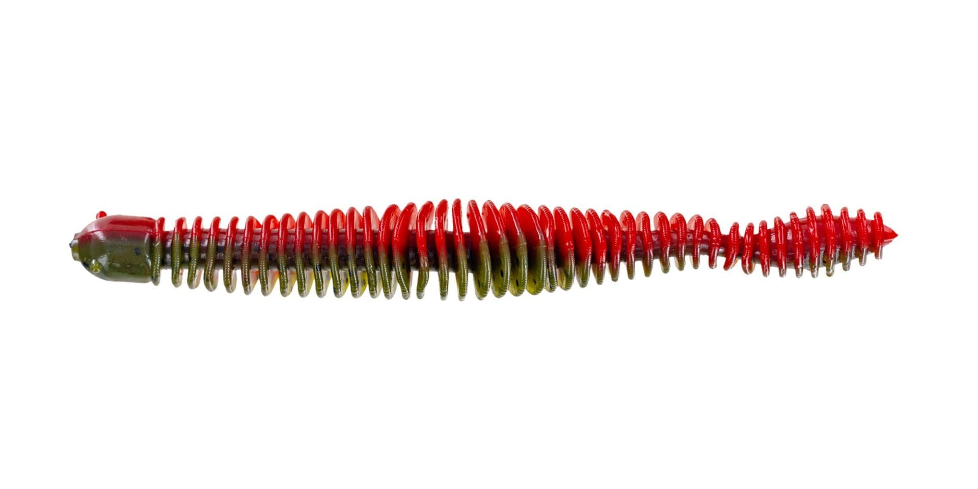 Coontail Worm