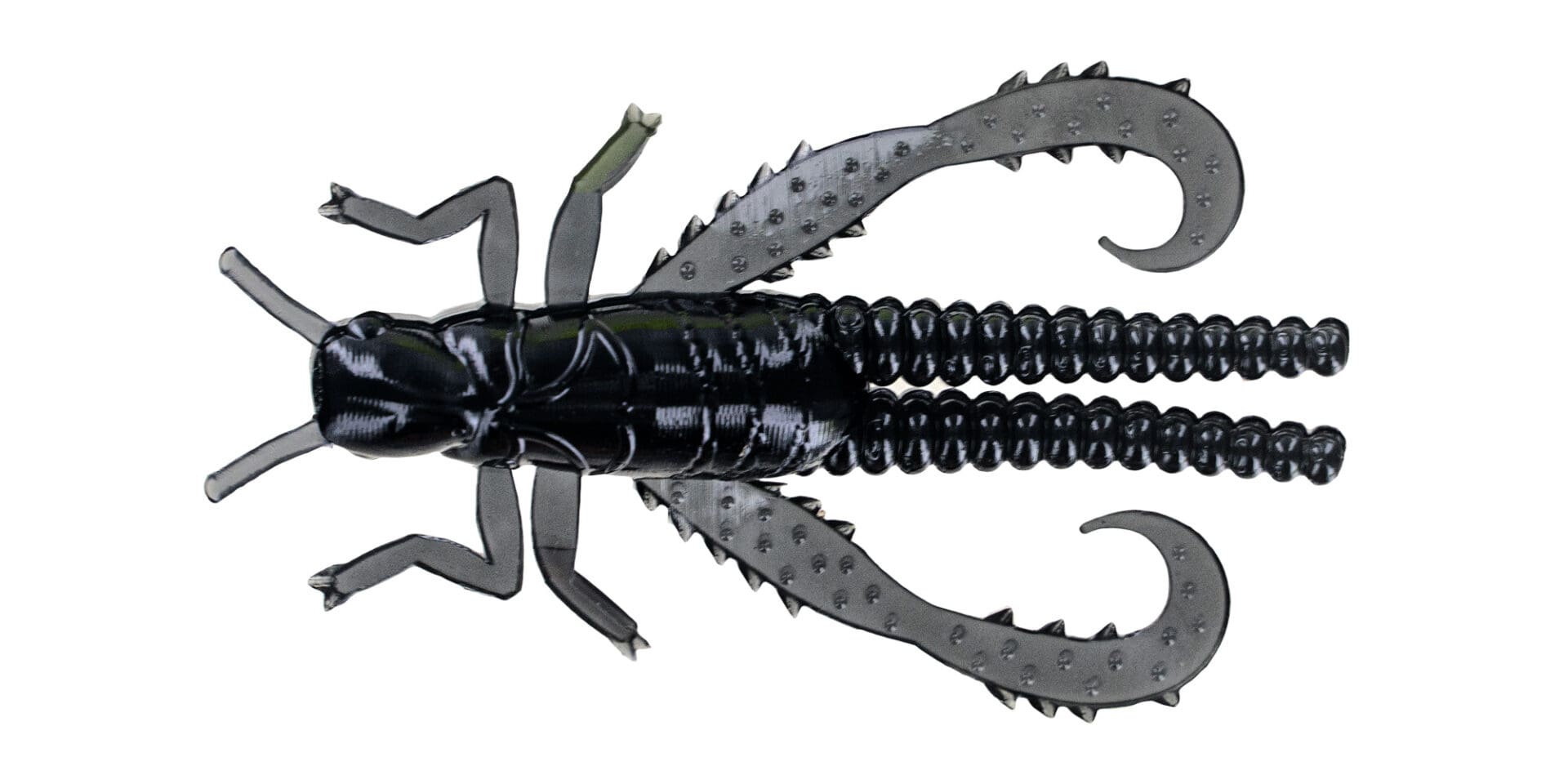 Grasshopper