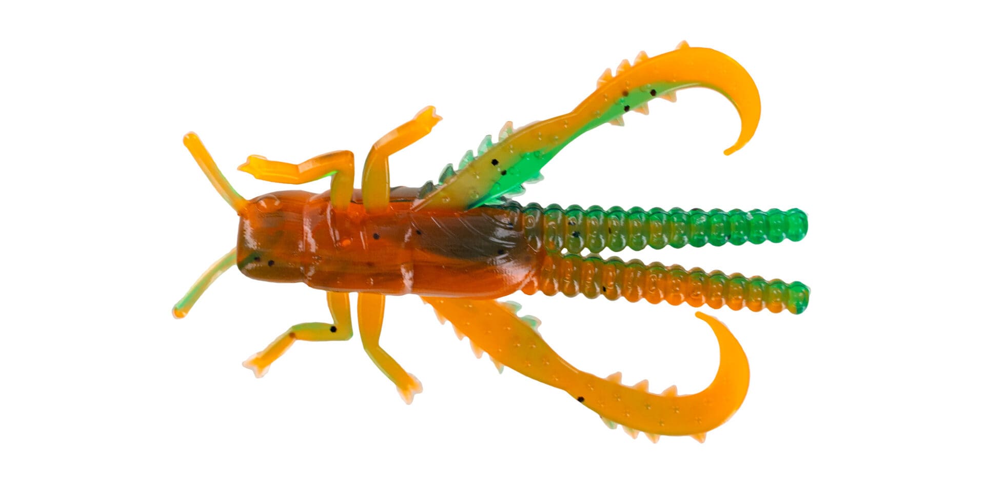 Grasshopper