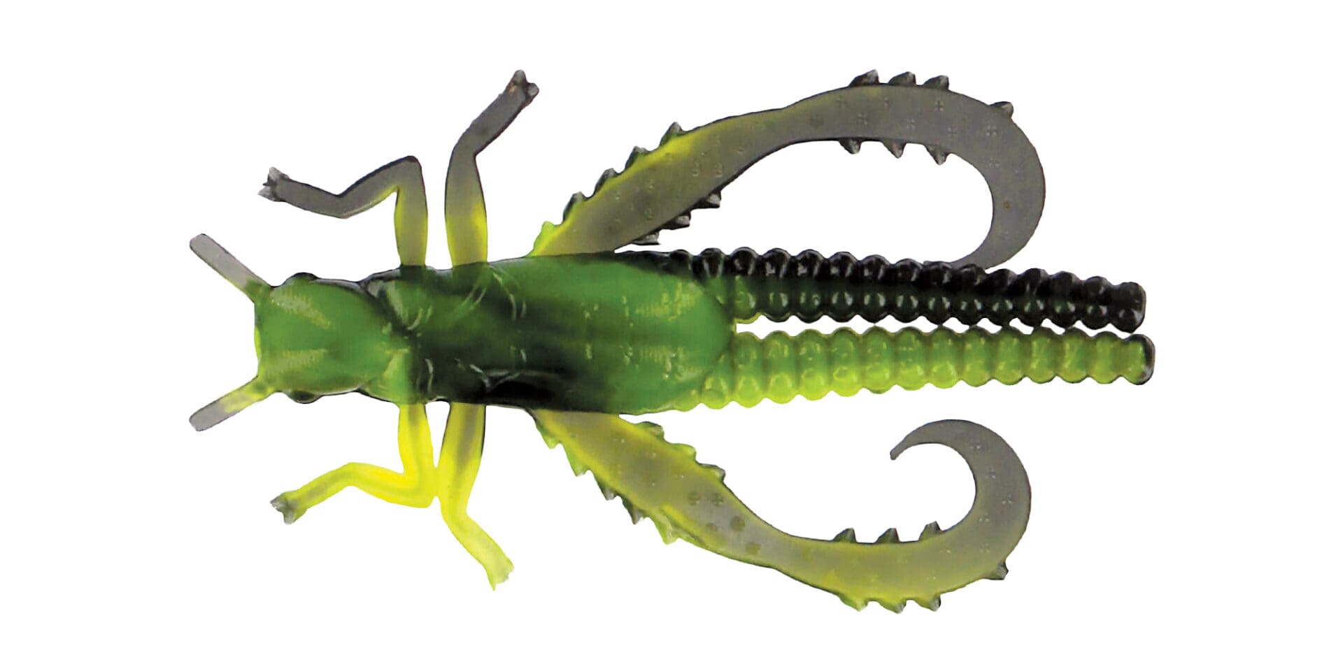 Grasshopper Bulk Pack