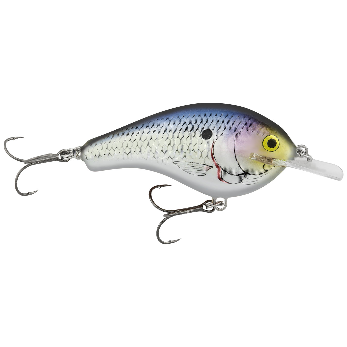 Flat Balsa B2 | Bagley | Baits.com