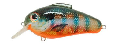 Echo Squarebill | Stump Knocker