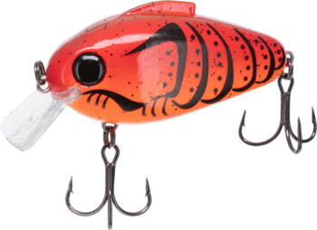 Echo Squarebill | Fire Craw