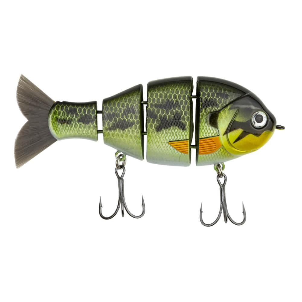 Baby Bull Gill | Baby Bass