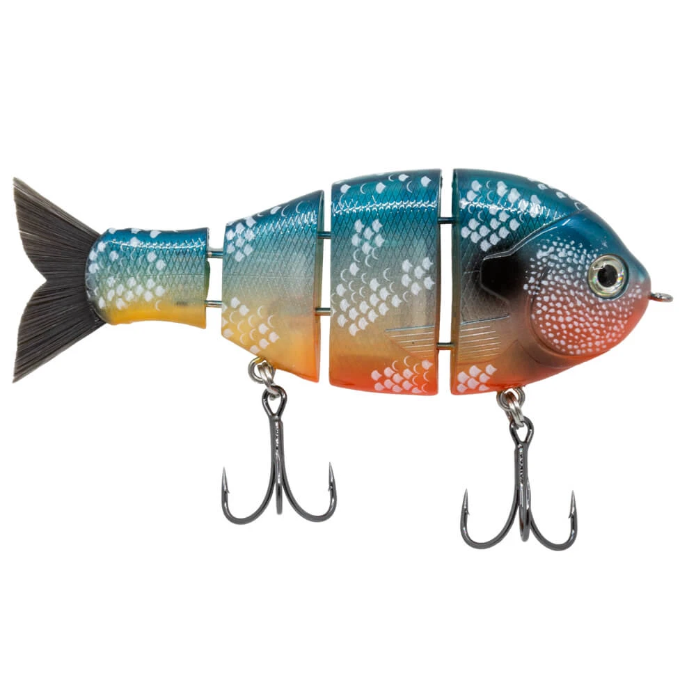Baby Bull Gill | Signature Redbreast