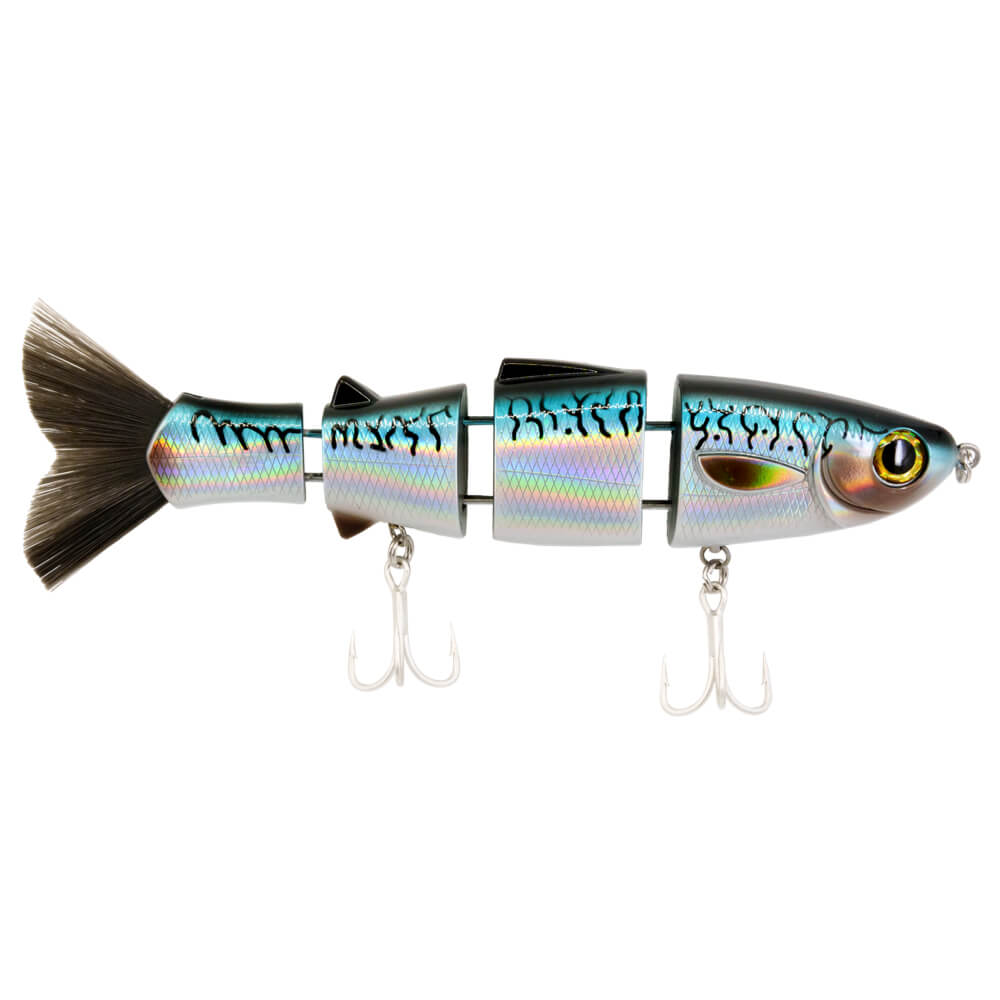 Bull Mullet | Mackerel
