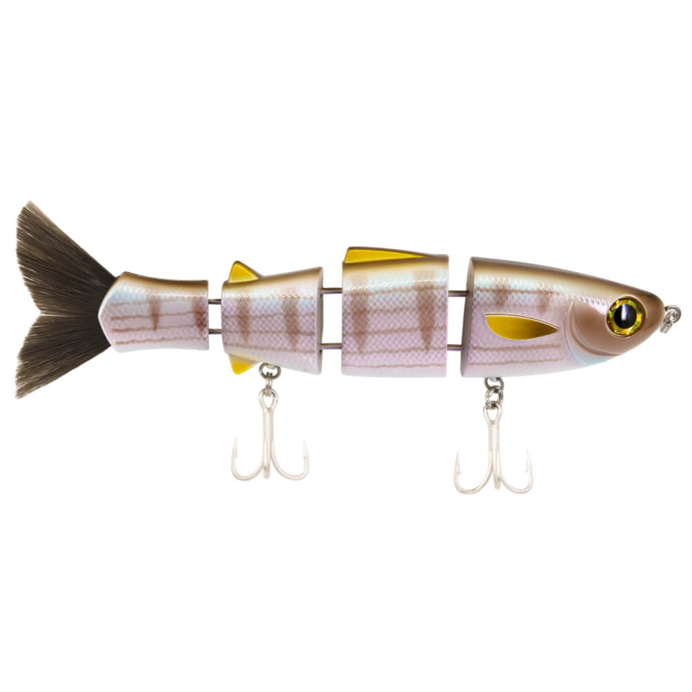 Bull Mullet | Pinfish