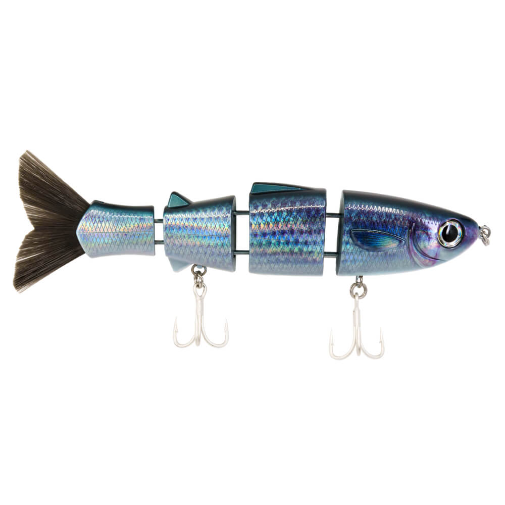 Bull Mullet | Mullet