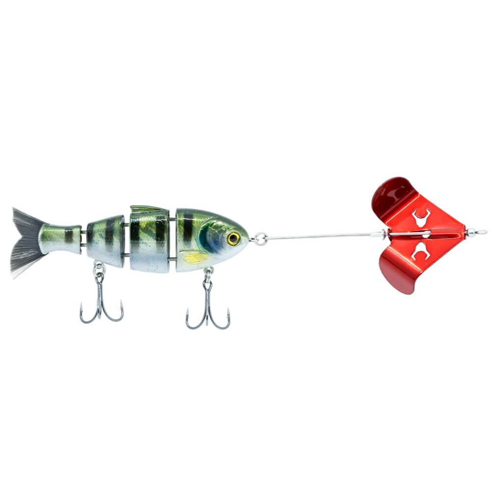 Buzzing Baby Bull Shad | Bluegill Red