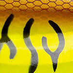 Northland Rumble B 11 Lemon Tiger – Crankbait 3/8 Oz Per La Pesca Al Branzino E Luccio