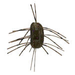 Green Pumpkin Purple Copper