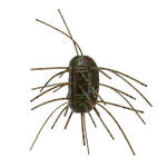 Green Pumpkin w/ Large Green & Purple