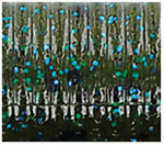 Green Pumpkin Blue
